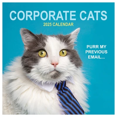 TF Publishing 2025 Corporate Cats Wall Calendar