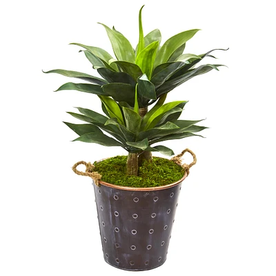 3ft. Double Agave Succulent Plant in Metal Planter