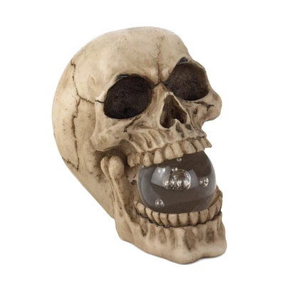 5" Realistic Human Skull with Light-Up Crystal Orb