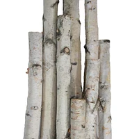 Wilson® Enterprises White Birch Pole Pack