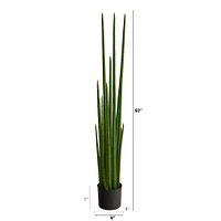 5ft. Sansevieria Snake Artificial Plant