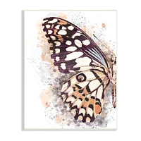 Stupell Industries Close Up Butterfly Patterned Wing Paint Splatter Wall Plaque