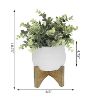Flora Bunda® 4.7" Eucalyptus in Matte White Mayan Ceramic Pot on Wood Stand