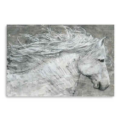 Wild Horse Canvas Giclee
