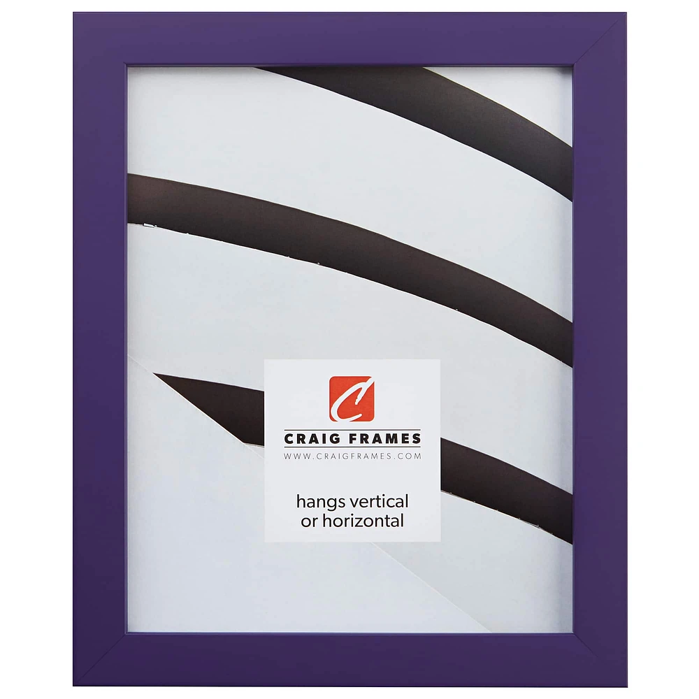 Craig Frames Confetti Grape Purple Picture Frame