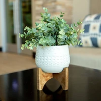 Flora Bunda® 4.7" Eucalyptus in Matte White Mayan Ceramic Pot on Wood Stand