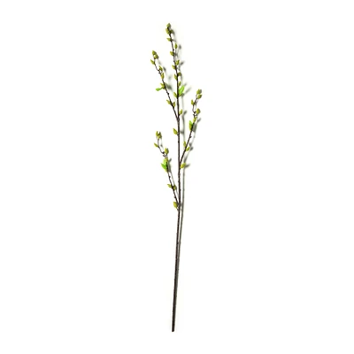 Green Willow Stem by Ashland®