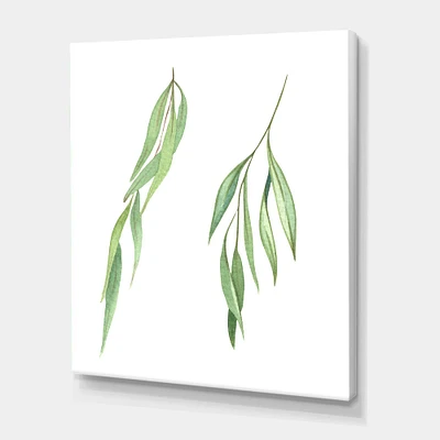 Designart - Two Willow Branches