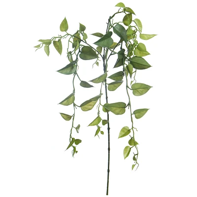 20" Green Heartleaf Philodendron Stem by Ashland®