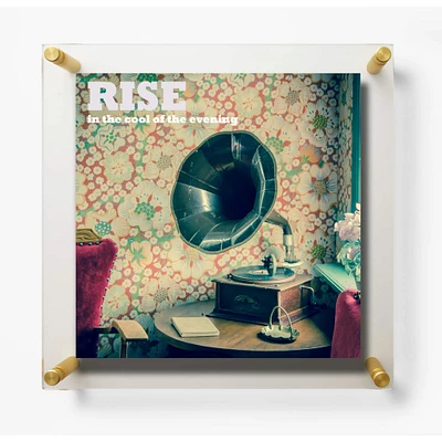 Wexel Art 15'' x 15'' Acrylic Floating Frame for Album Covers with Gold Hardware