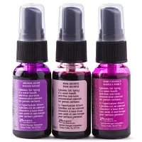 6 Packs: 3 ct. (18 total) Dylusions Ink Spray Set 4