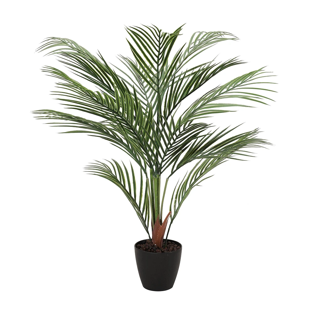 2.75ft. Potted Areca Palm Tree