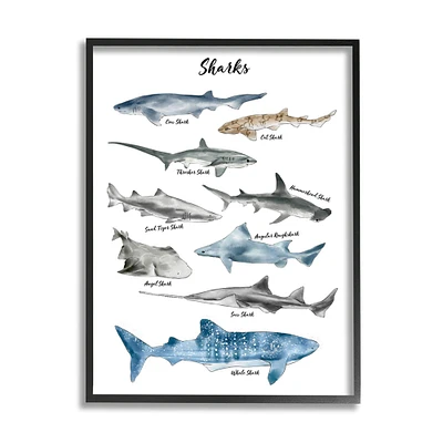 Stupell Industries Nautical Shark Chart Watercolor Marine Animals Framed Wall Art