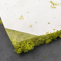 12 Pack: SuperMoss® Instant Green® Sticky All-Purpose Moss Mat