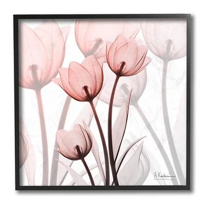 Stupell Industries Red Floral Silhouettes Modern Floral Photograph, 12" x 12"