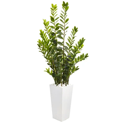 5ft. ZZ Plant in White Planter