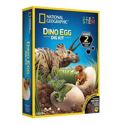 12 Pack: National Geographic™ Dino Egg Dig Kit