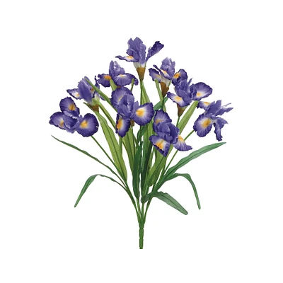 Two-Toned Violet Iris Bush