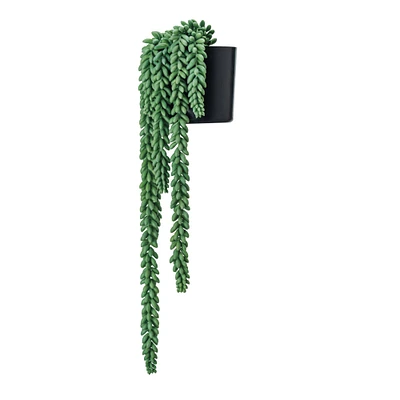 Hello Honey® 22" Verdant Green Faux Donkey Tail Plant in Round Plastic Pot