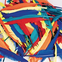 Color Splash!® Quill Feathers, 144ct.