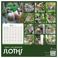 TF Publishing 2023 Sloths Wall Calendar