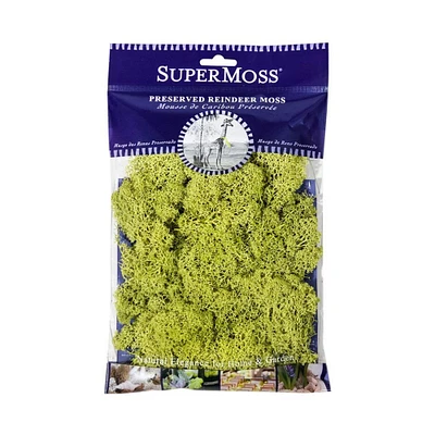 SuperMoss® Chartreuse Preserved Reindeer Moss, 2oz.
