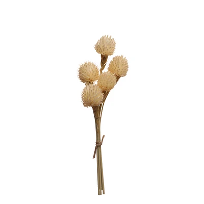Dried White Gomphrena Decorative Naturals by Ashland®
