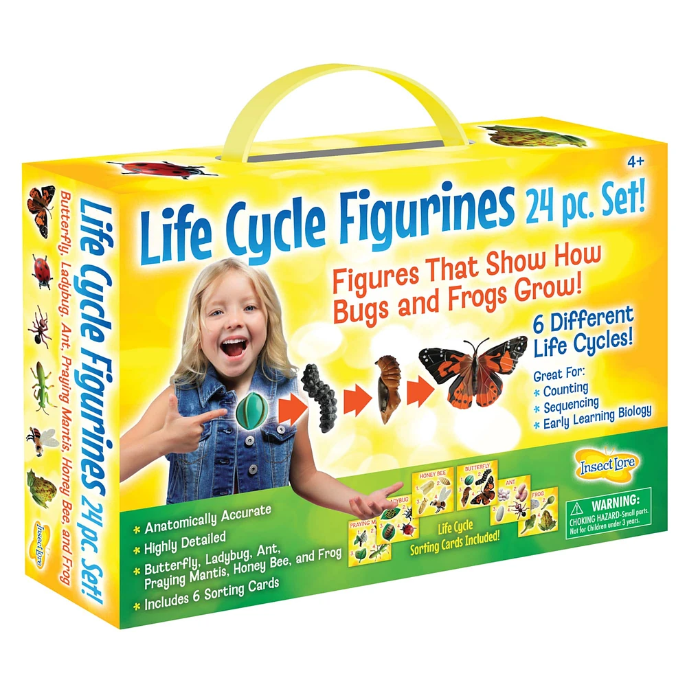 Insect Lore Life Cycle Figurine 24 Piece Set