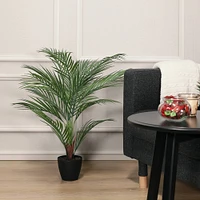 2.75ft. Potted Areca Palm Tree