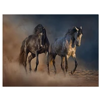 Designart - Black and white horse run