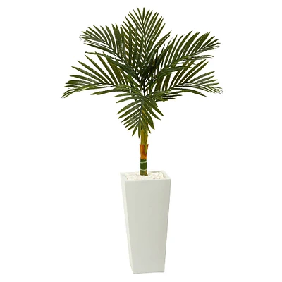 4.5ft. Golden Cane Palm Tree in Tall White Planter