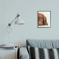 Stupell Industries Chocolate Labrador Puppy Resting Adorable Dog Portrait in Frame Wall Art