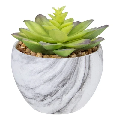 4" Green & Purple Succulent in Faux Marble Pot