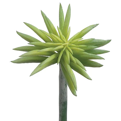 6" Soft Touch Green Gray Starburst Succulent Pick