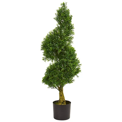 4ft. Potted Spiral Boxwood Tree