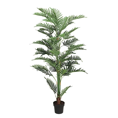 6 Pack: 6.5ft. Potted Areca Palm Tree