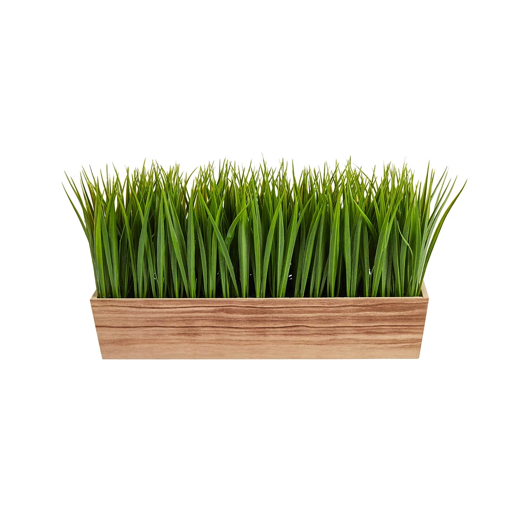 10" Vanilla Grass Plant in Decorative Planter