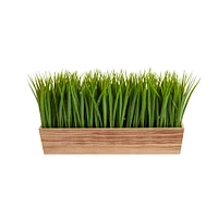 10" Vanilla Grass Plant in Decorative Planter