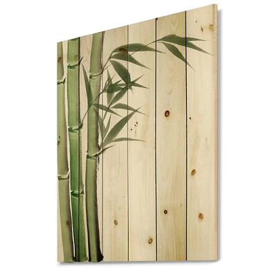 Designart - Detail of Dark Green Bamboo IV - Traditional Print on Natural Pine Wood