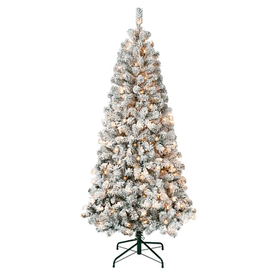 6ft. Pre-Lit Acacia Flocked Artificial Christmas Tree
