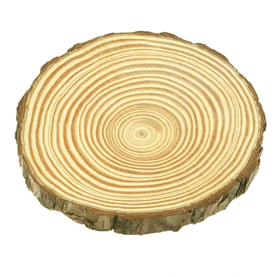 3.875" Pinewood Slices, 4ct. by Make Market®