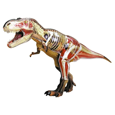4D Vision™ Tyrannosaurus Rex Anatomy Model