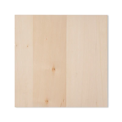 6 Pack: 12" Basswood Canvas by Make Market®