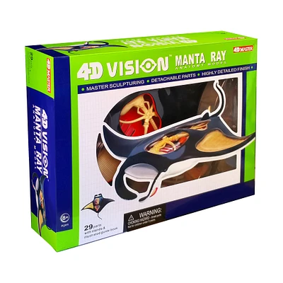 4D Vision™ Manta Ray Anatomy Model