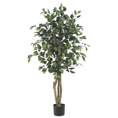 4ft. Potted Ficus Tree