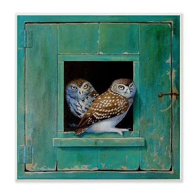 Stupell Industries Spotted Owls Rustic Green Door Wall Art