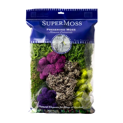 24 Pack: SuperMoss® Purple & Green Preserved Mixed Moss