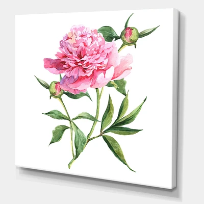 Designart - Vintage Pink Peonies - Traditional Canvas Wall Art Print