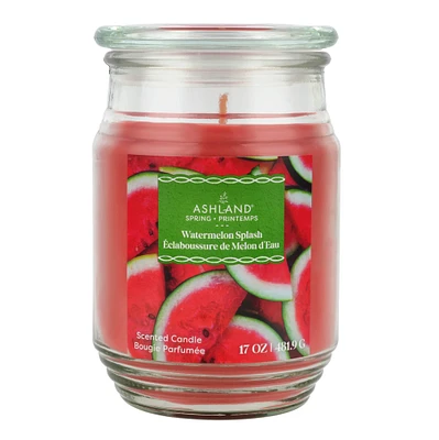 Watermelon Splash Scented Jar Candle by Ashland®