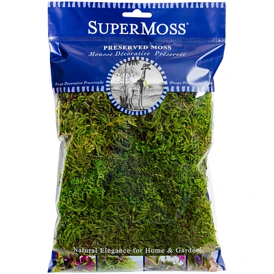 24 Pack: SuperMoss® Preserved Green Forest Moss